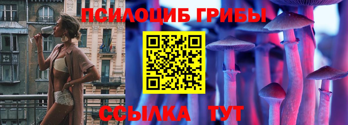 Костомукша  Псилоцибиновые грибы MAGIC MUSHROOMS  Вход с VPN 